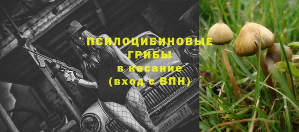 гидропоника Баксан