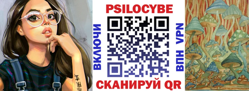 где купить наркоту  Черногорск  Псилоцибиновые грибы Psilocybine cubensis 